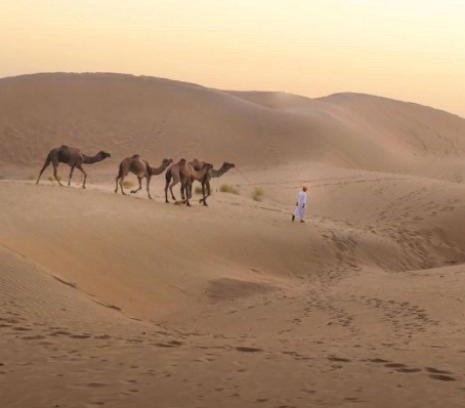 Amar Sagar Pol House | Jaisalmer Bella homestay
