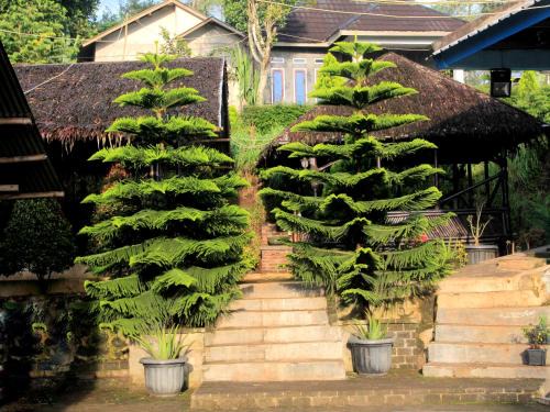 Karamat Wangi House | Omah Gunung Garut