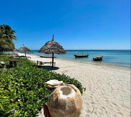 Mafia Island Bed & Breakfast | New Afro Beach Bungalows