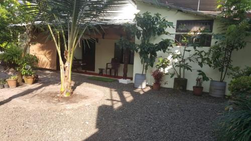 Sea View Ward House | George Brooks Homestay